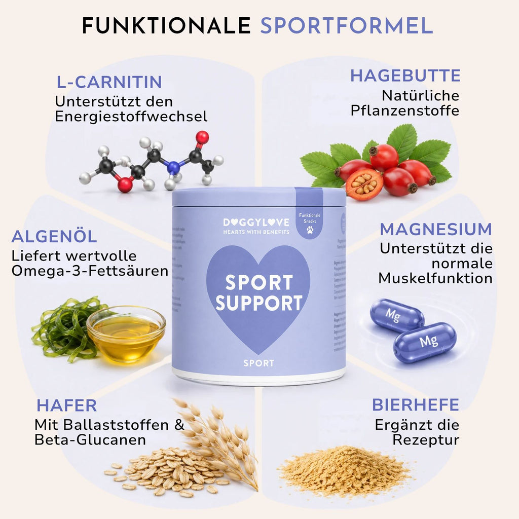 SPORT SUPPORT