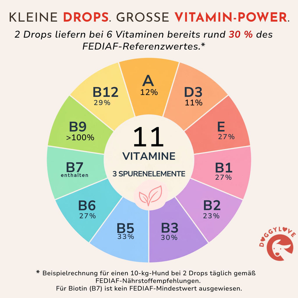 VITAMIN POWER