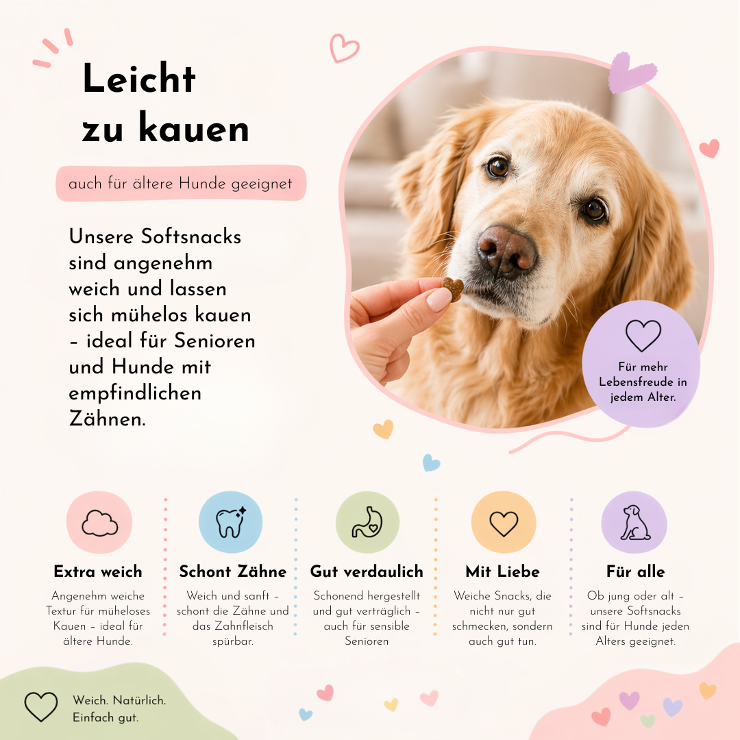 Hund probiert DoggyLove Snack – natürliche Nahrungsergänzung für Hunde