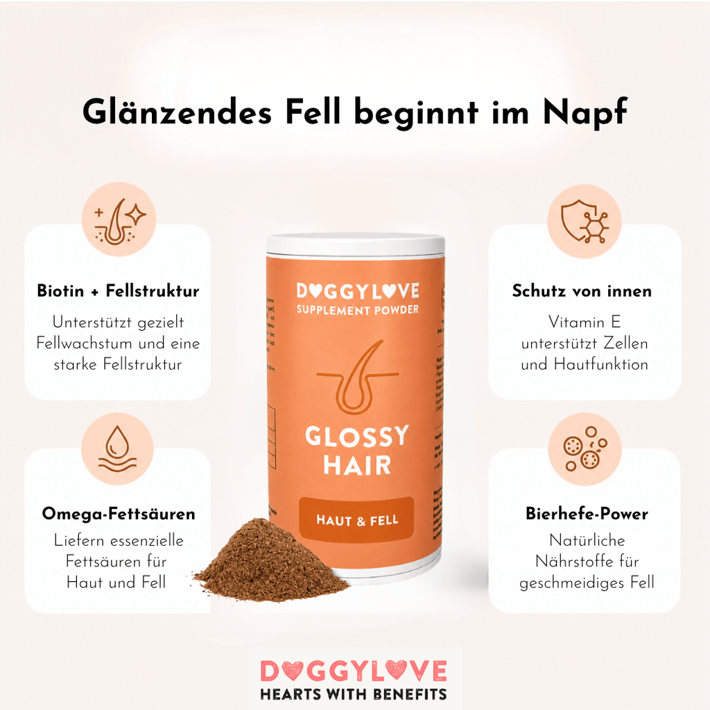 Glossy Hair Pulver Detailansicht – DoggyLove Nahrungsergänzung für Hundefell
