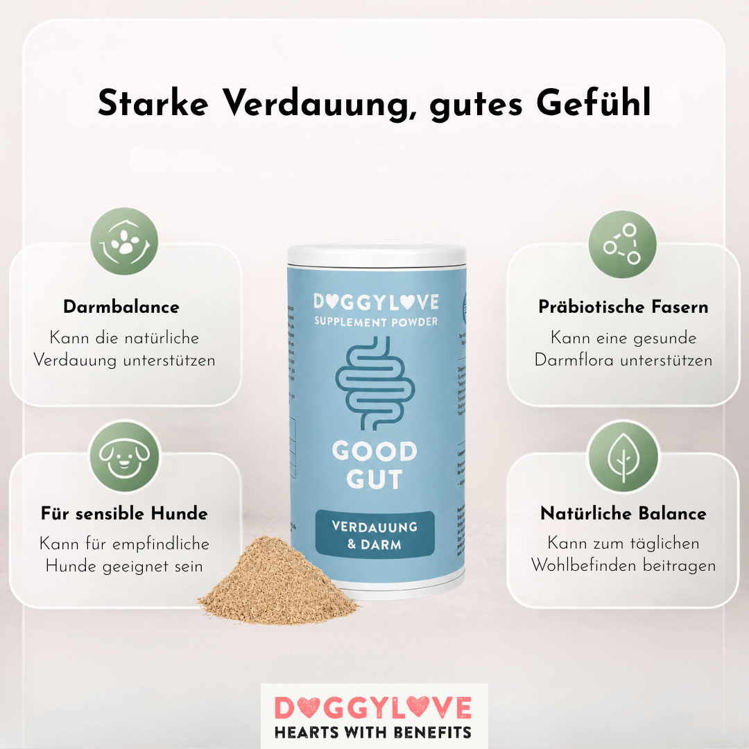 Good Gut Pulver Detailansicht – DoggyLove Nahrungsergänzung für gesunden Hundedarm