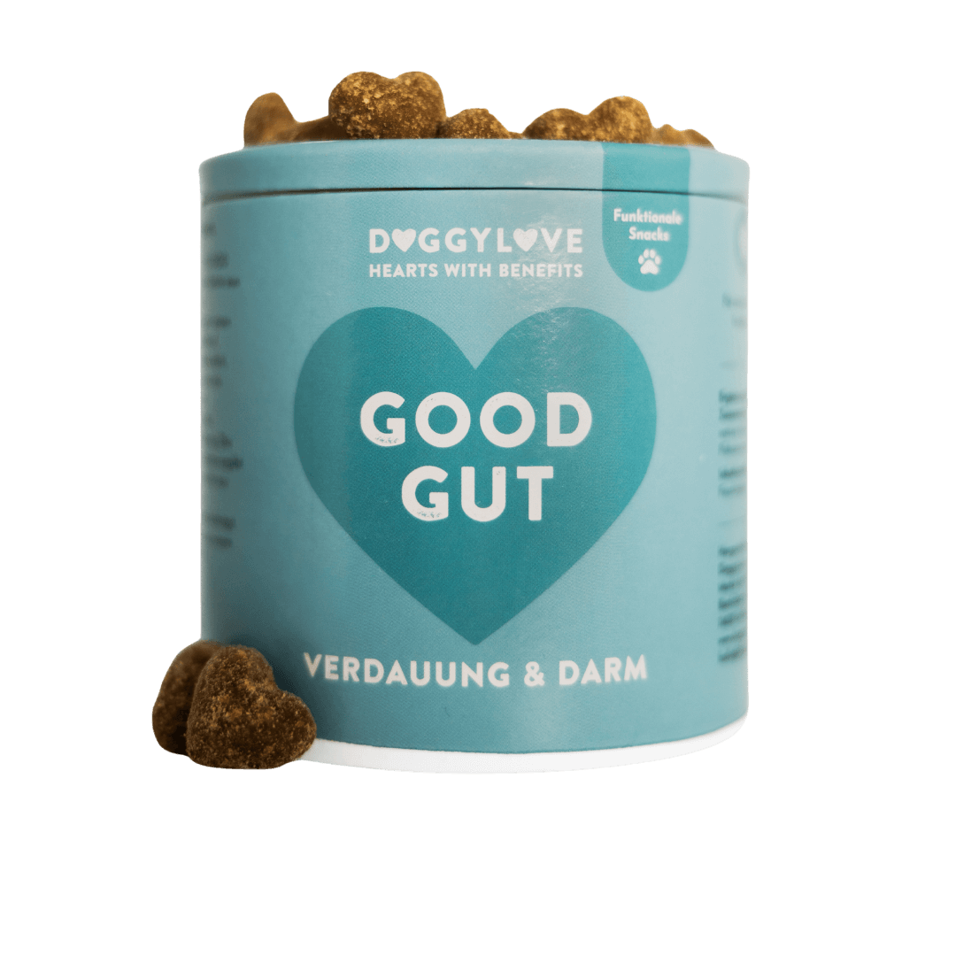 GOOD GUT Hundesnacks mit Huhn von DoggyLove – Verdauung & Darmflora beim Hund unterstützen