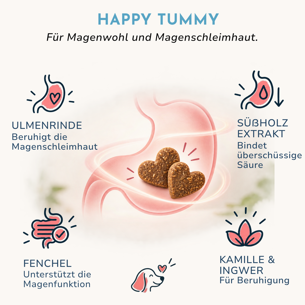 HAPPY TUMMY
