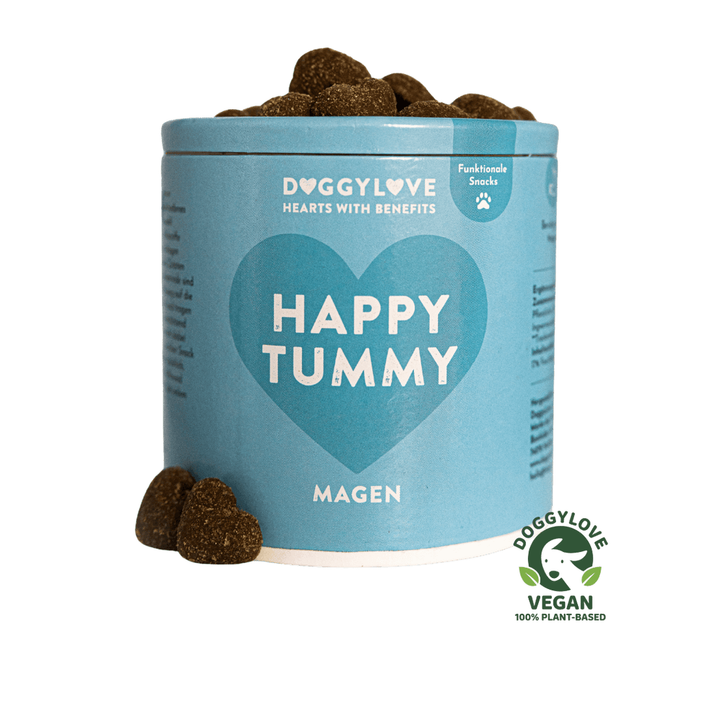 HAPPY TUMMY vegane Hundesnacks von DoggyLove – pflanzlich für ein zufriedenes Bauchgefühl