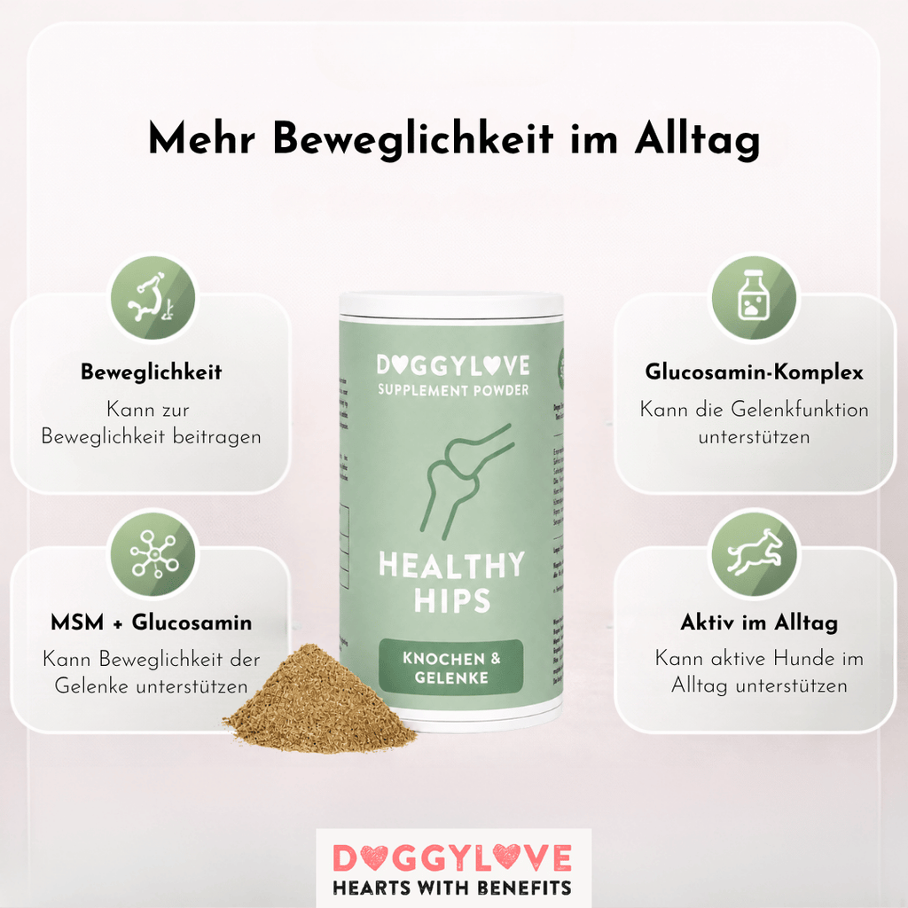 Healthy Hips Pulver Detailansicht – DoggyLove Nahrungsergänzung für Hundegelenke