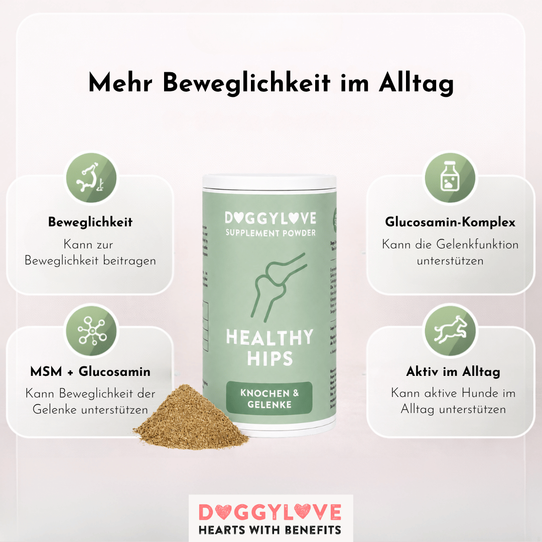 Healthy Hips Pulver Detailansicht – DoggyLove Nahrungsergänzung für Hundegelenke