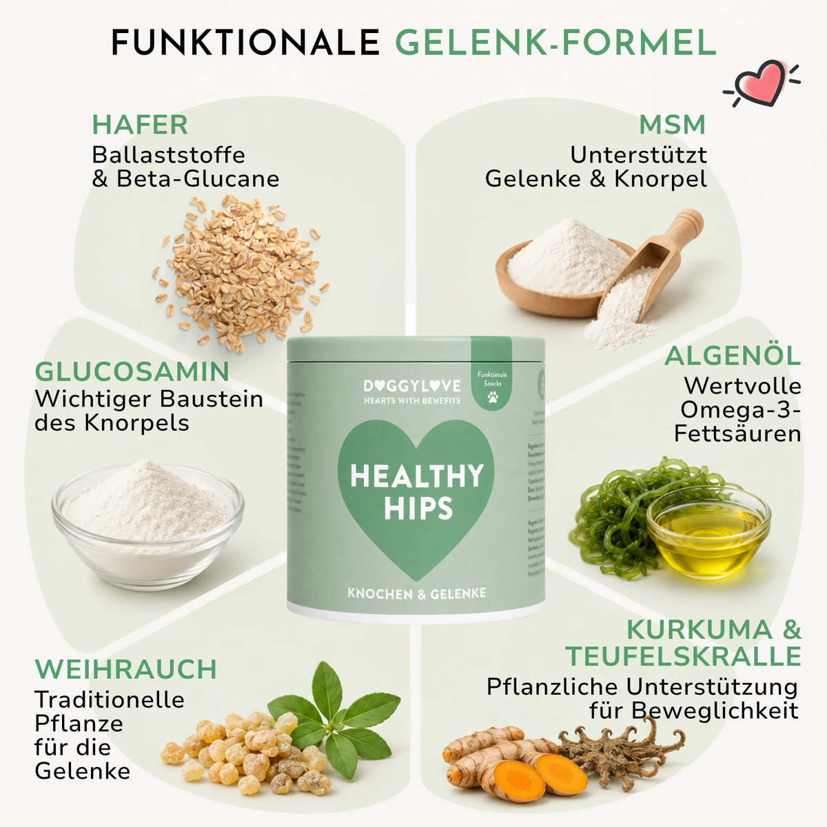 HEALTHY HIPS