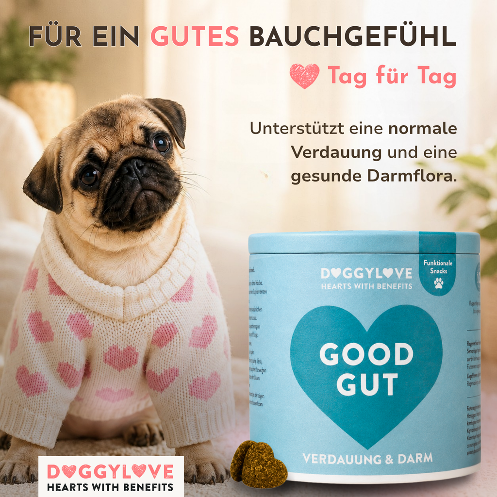 GOOD GUT