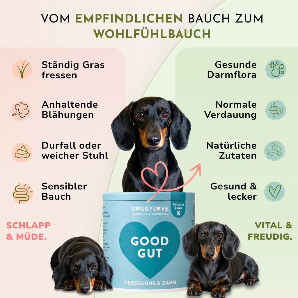 GOOD GUT