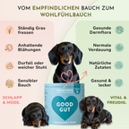 GOOD GUT