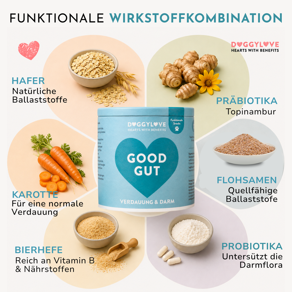 GOOD GUT