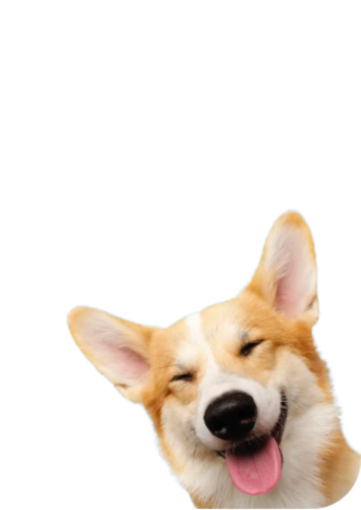 Fit & Vital durchs Leben