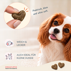 happy tummy, extra weicher softsnack für hunde.