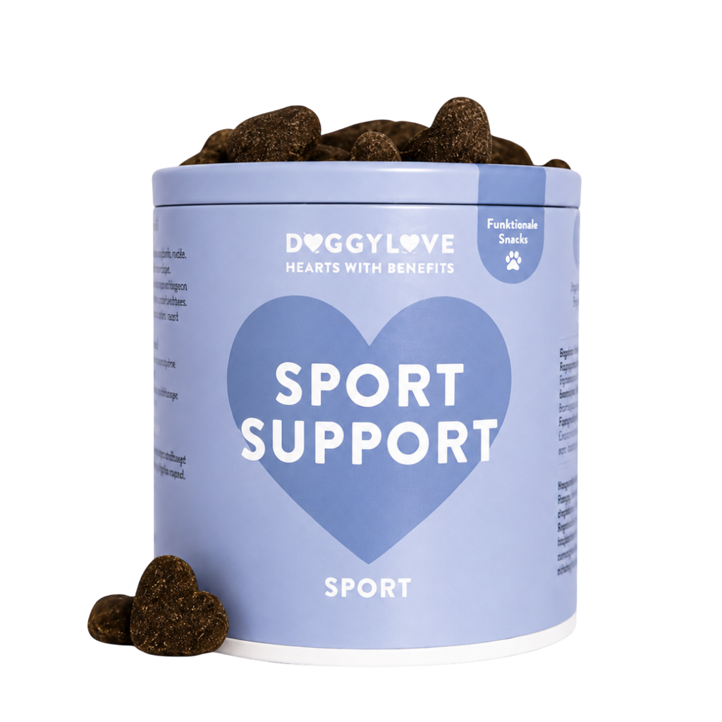 SPORT SUPPORT
