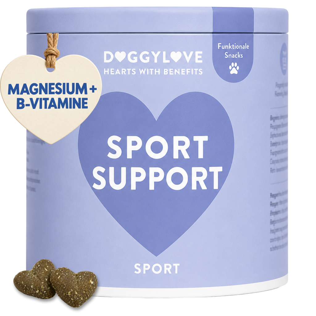 SPORT SUPPORT