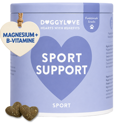SPORT SUPPORT
