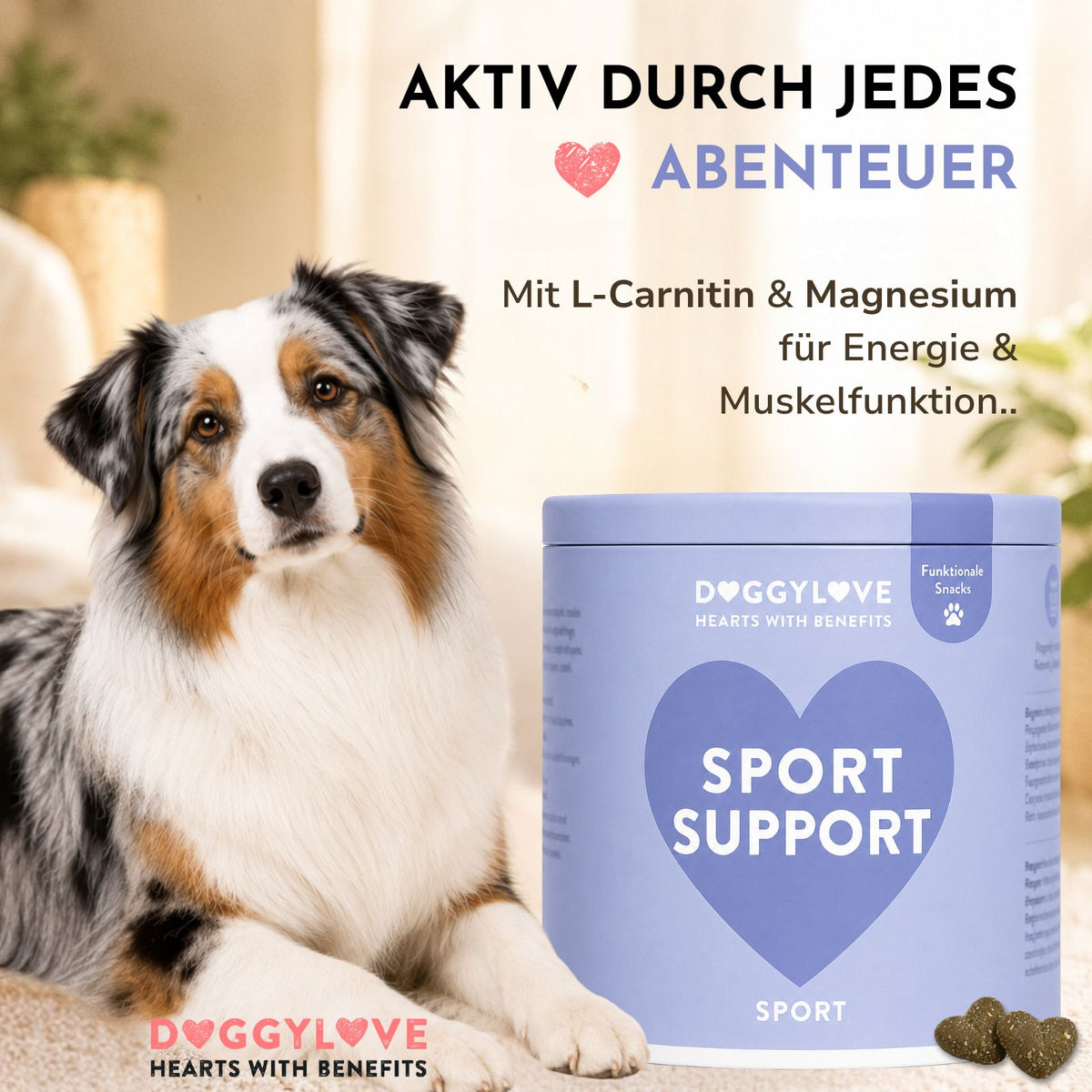 SPORT SUPPORT