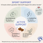 SPORT SUPPORT