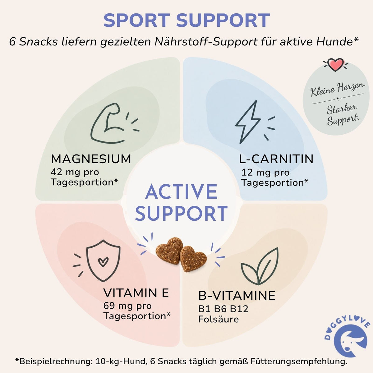 SPORT SUPPORT
