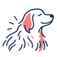 Stumpfes Fell