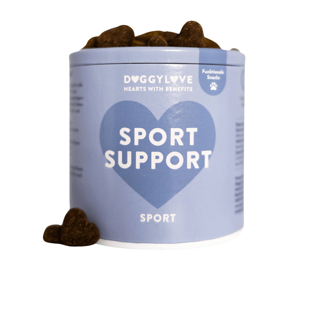 SPORT SUPPORT Hundesnacks mit Huhn von DoggyLove – Muskeln, Ausdauer & Regeneration für aktive Hunde