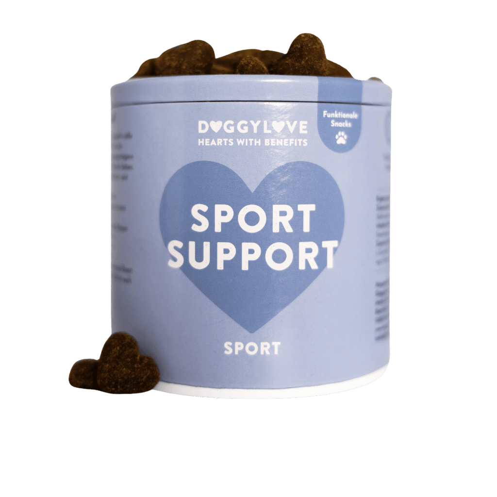 SPORT SUPPORT