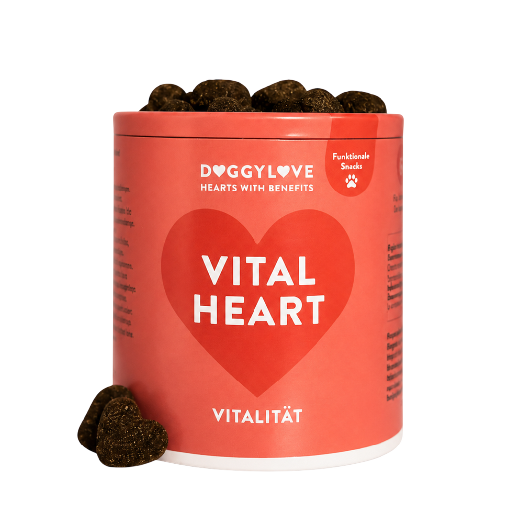 VITAL HEART