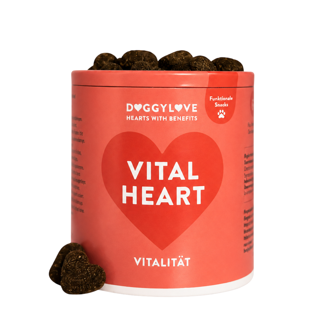 VITAL HEART