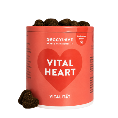 VITAL HEART