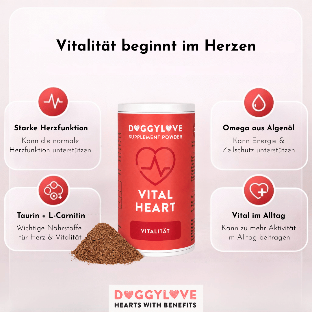 Vital Heart Pulver Detailansicht – DoggyLove Nahrungsergänzung für ein starkes Hundeherz