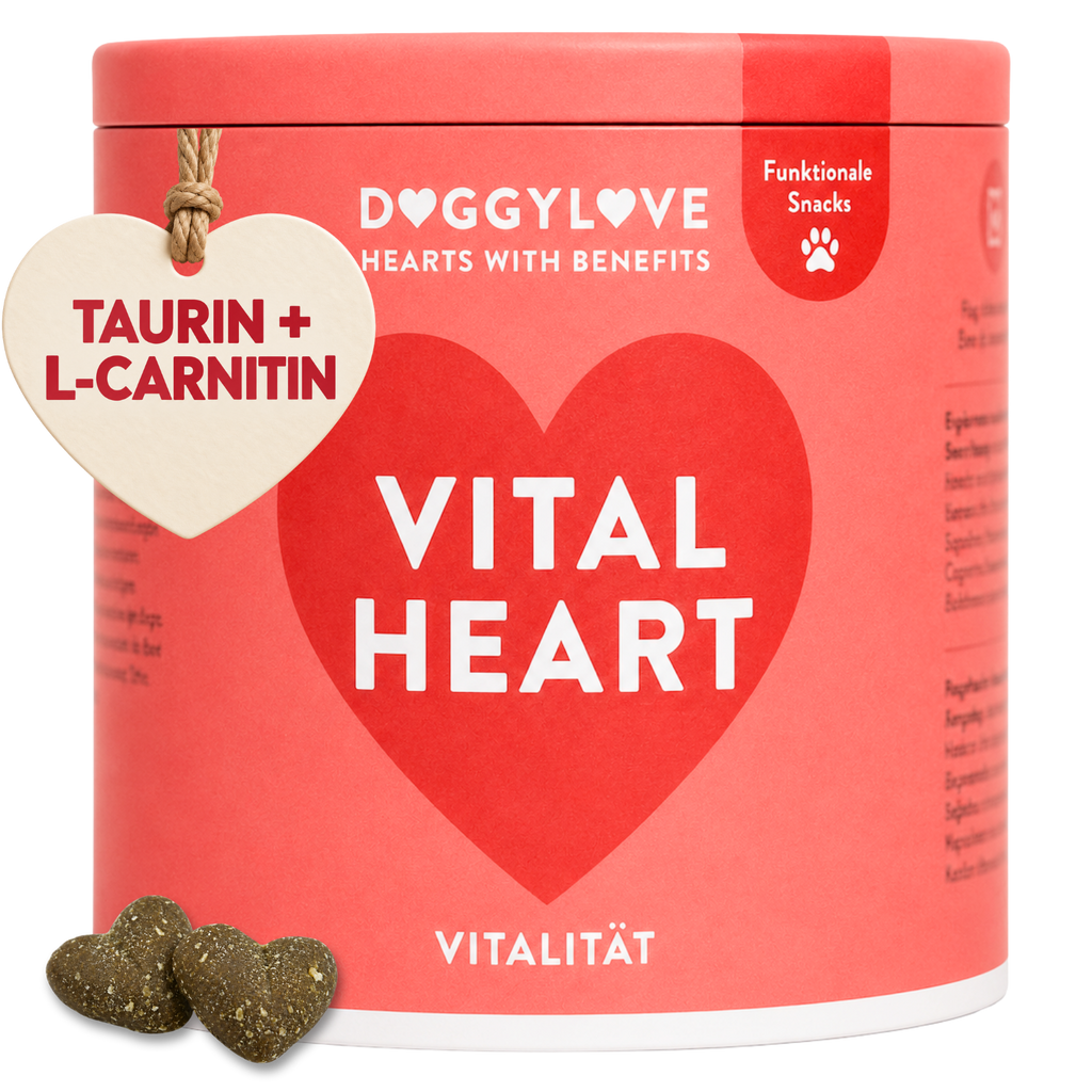 VITAL HEART