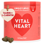 VITAL HEART
