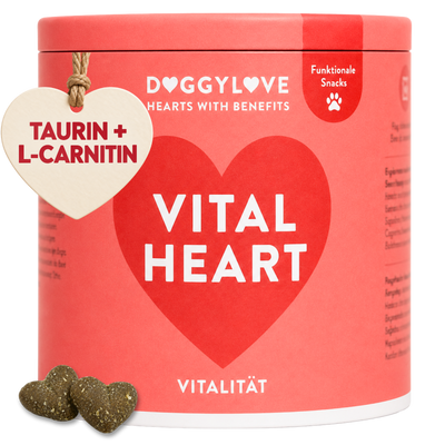 VITAL HEART