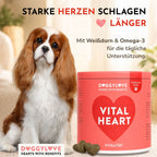 VITAL HEART