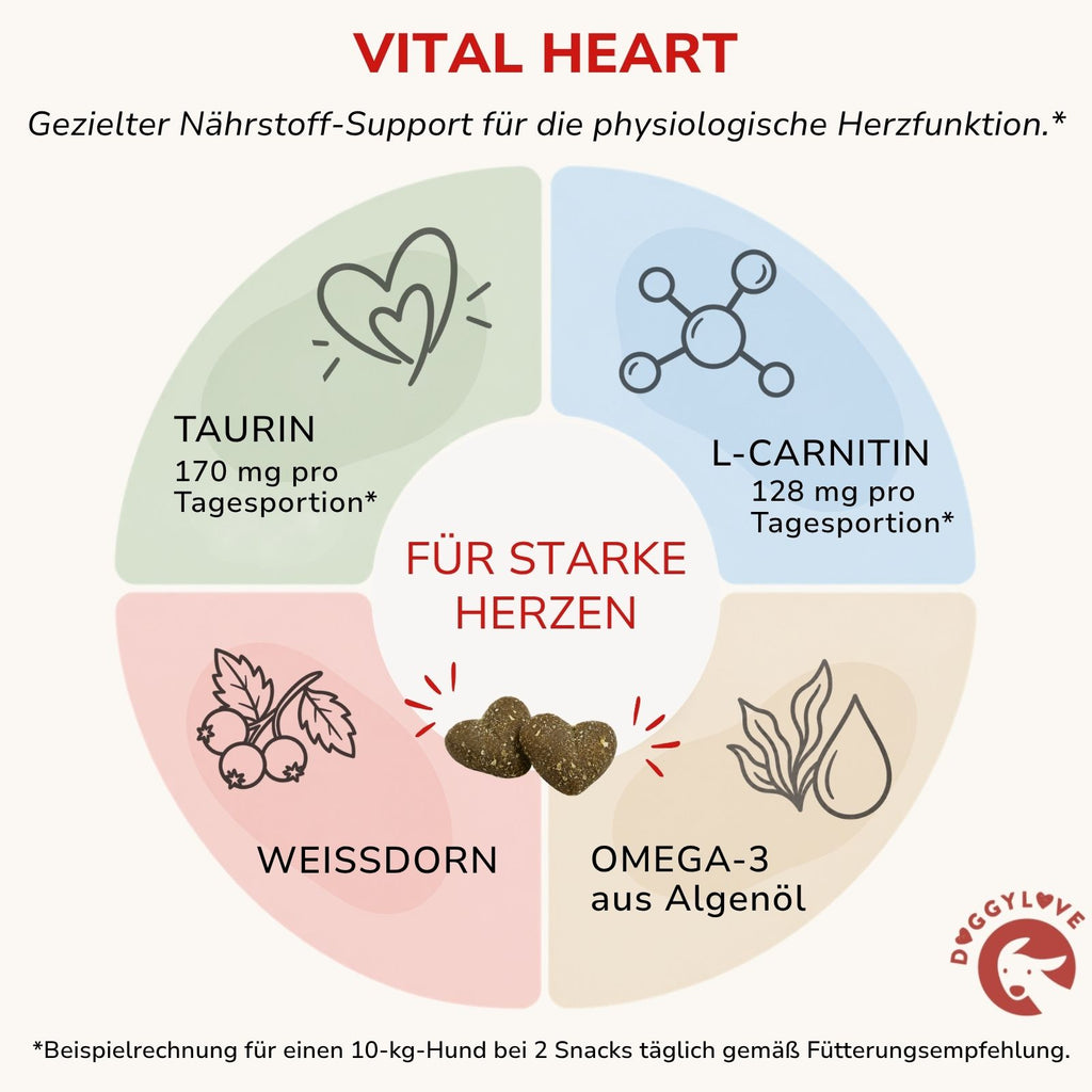 VITAL HEART