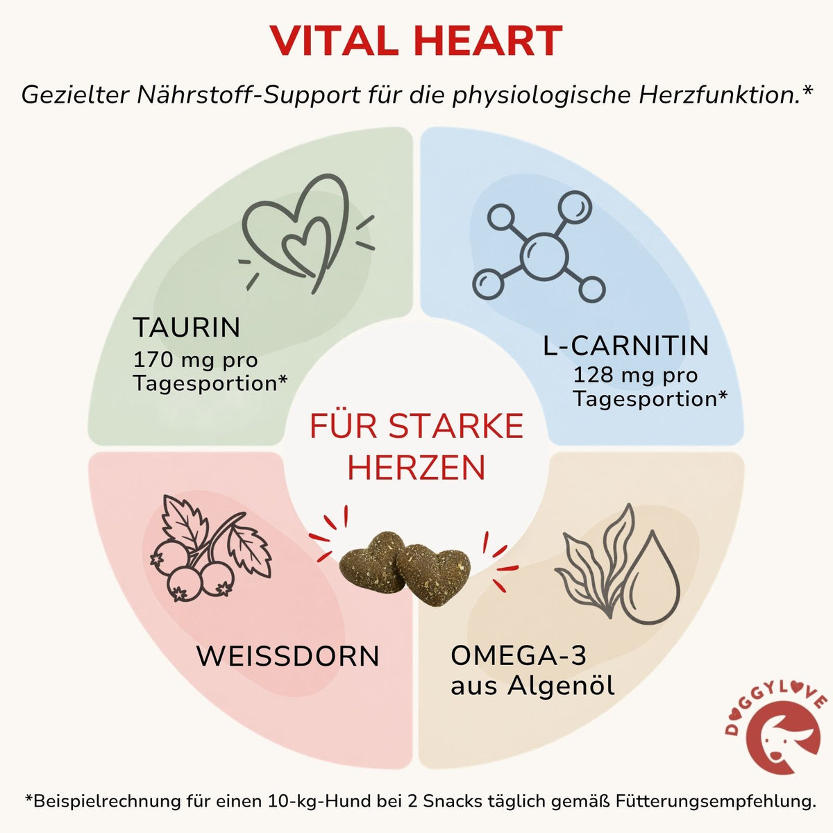 VITAL HEART