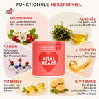 VITAL HEART