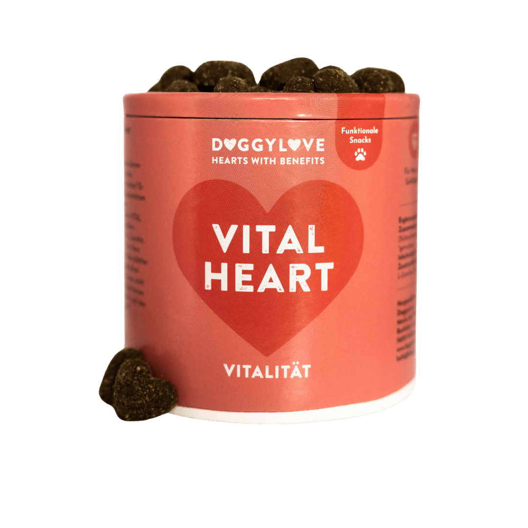VITAL HEART Hundesnacks mit Huhn von DoggyLove – Nahrungsergänzung für Herz & Kreislauf beim Hund