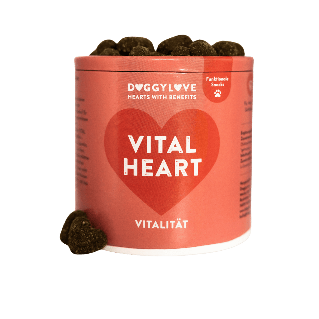 VITAL HEART
