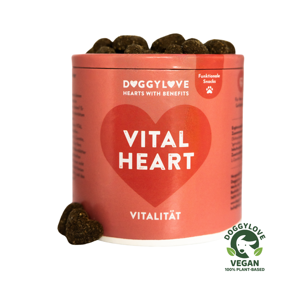 VITAL HEART