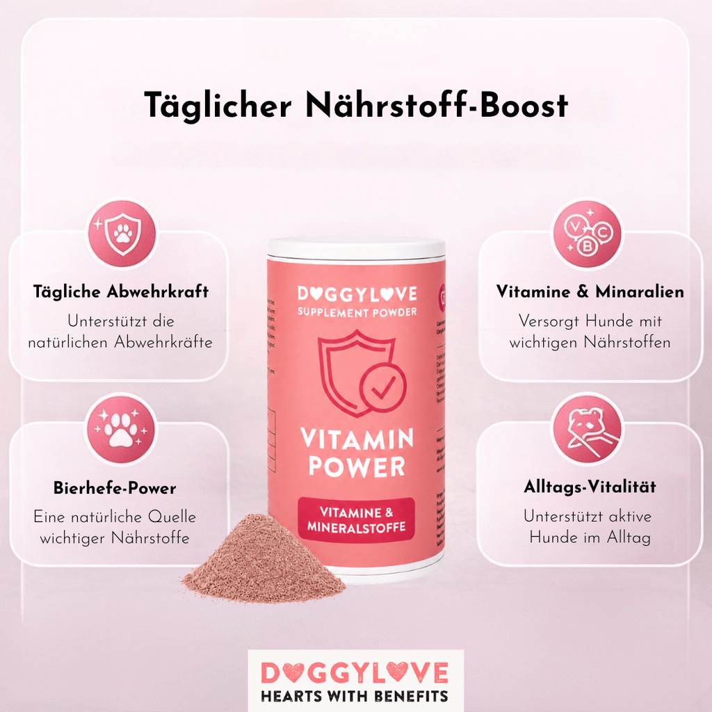 Vitamin Power Pulver Detailansicht – DoggyLove Nahrungsergänzung für Energie & Vitalität beim Hund