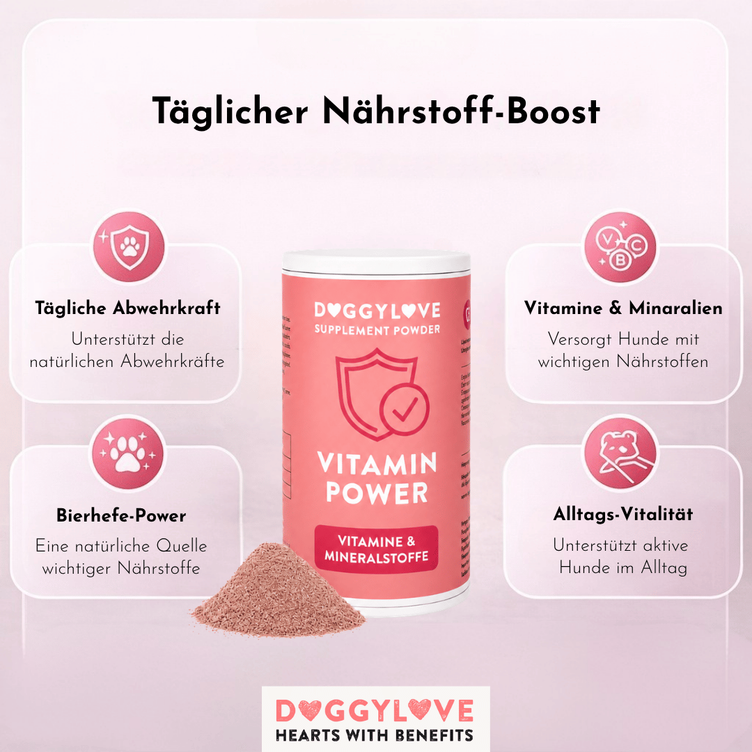 Vitamin Power Pulver Detailansicht – DoggyLove Nahrungsergänzung für Energie & Vitalität beim Hund
