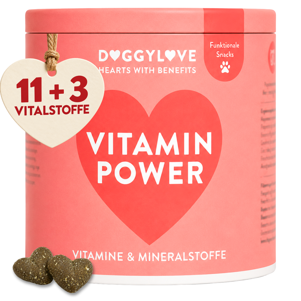 VITAMIN POWER