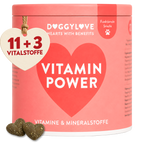 VITAMIN POWER