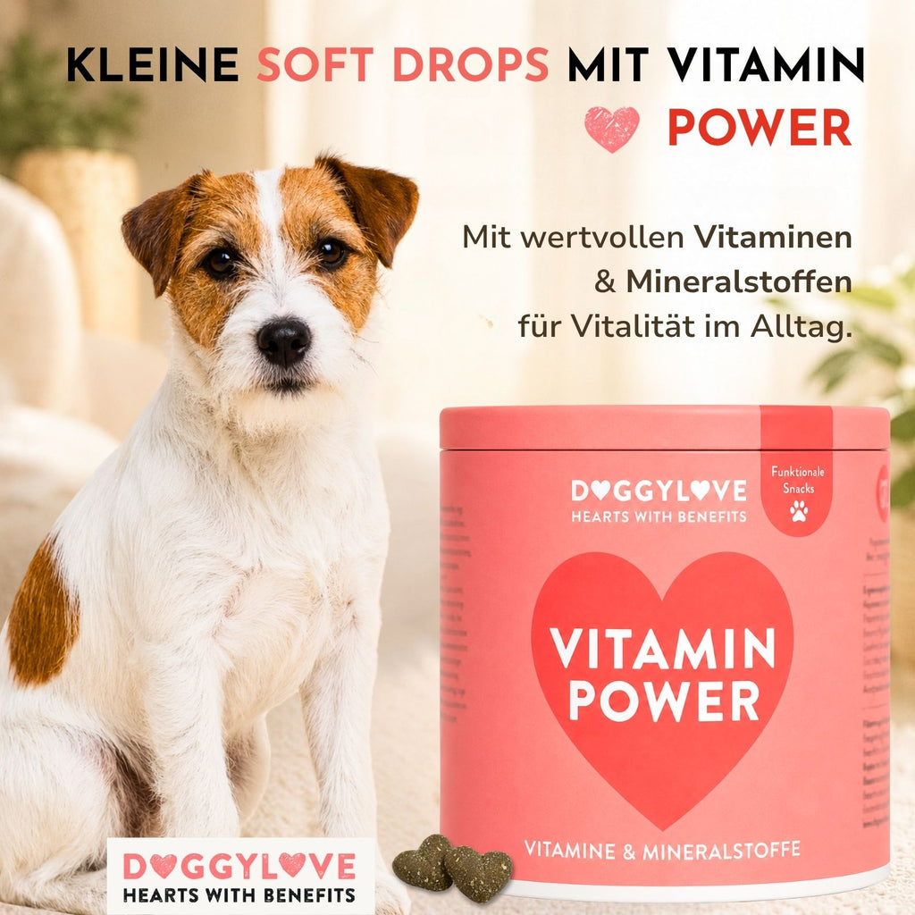 VITAMIN POWER