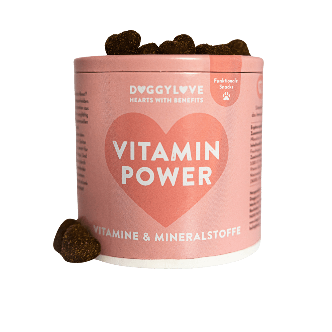 VITAMIN POWER Hundesnacks mit Huhn von DoggyLove – Vitamine & Immunsystem-Support für Hunde