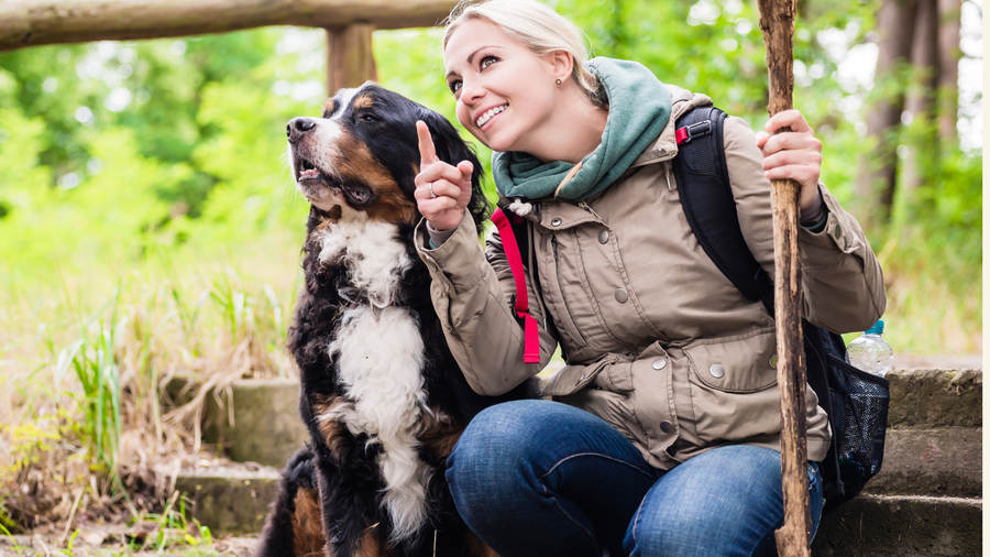 Wandern mit Hund – Vorbereitung, Kondition & Pausen