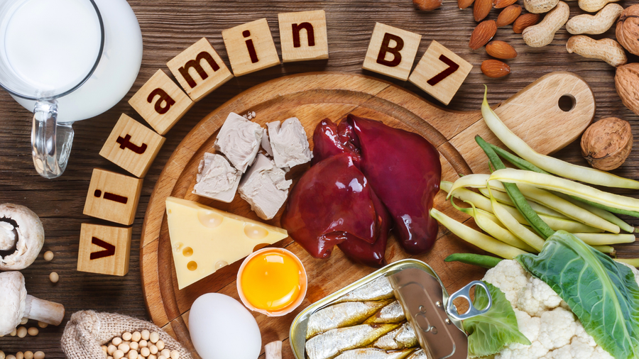 Biotin beim Hund – Bedeutung für Haut & Fell