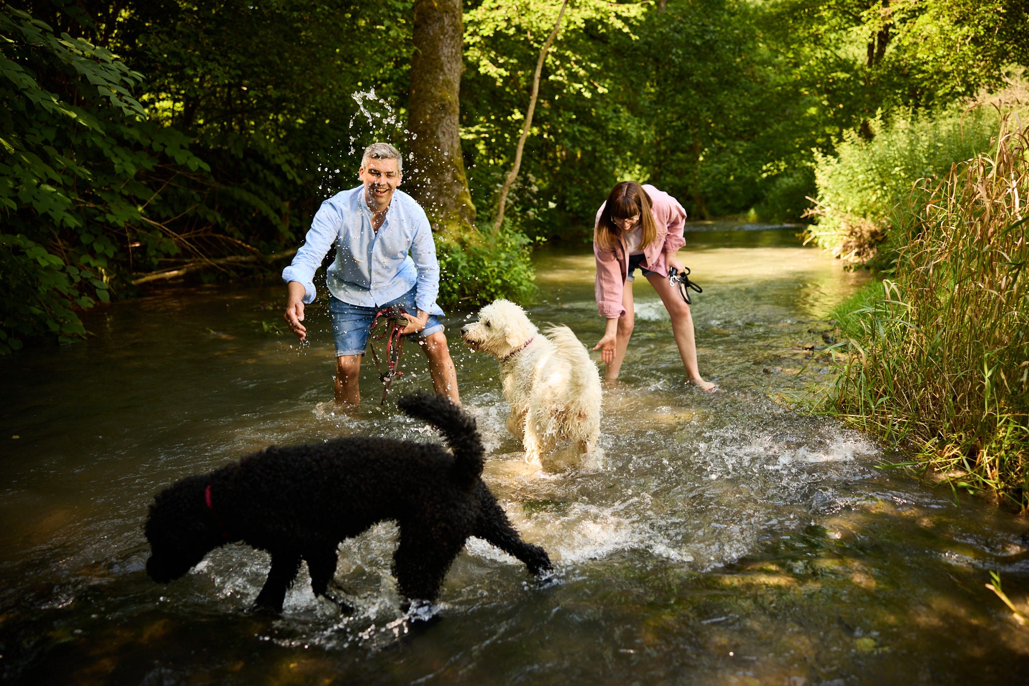 Hund am Bach – DoggyLove Markenfoto für aktive Hunde