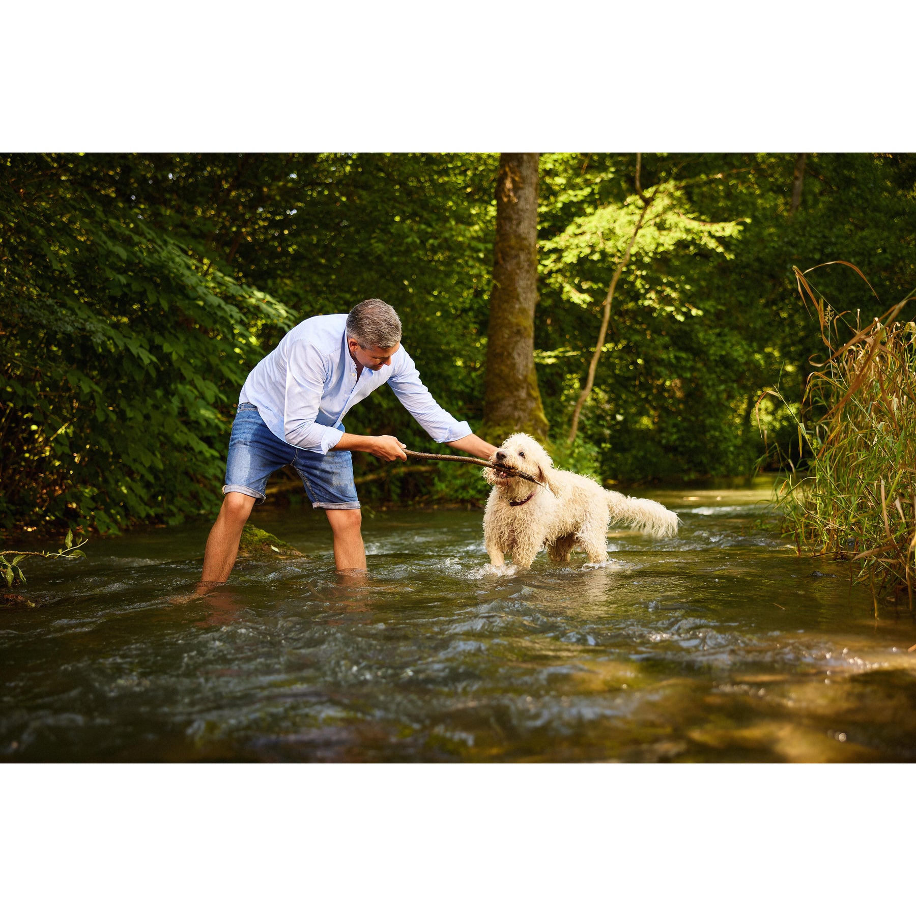 Mann spielt mit Hund im Fluss